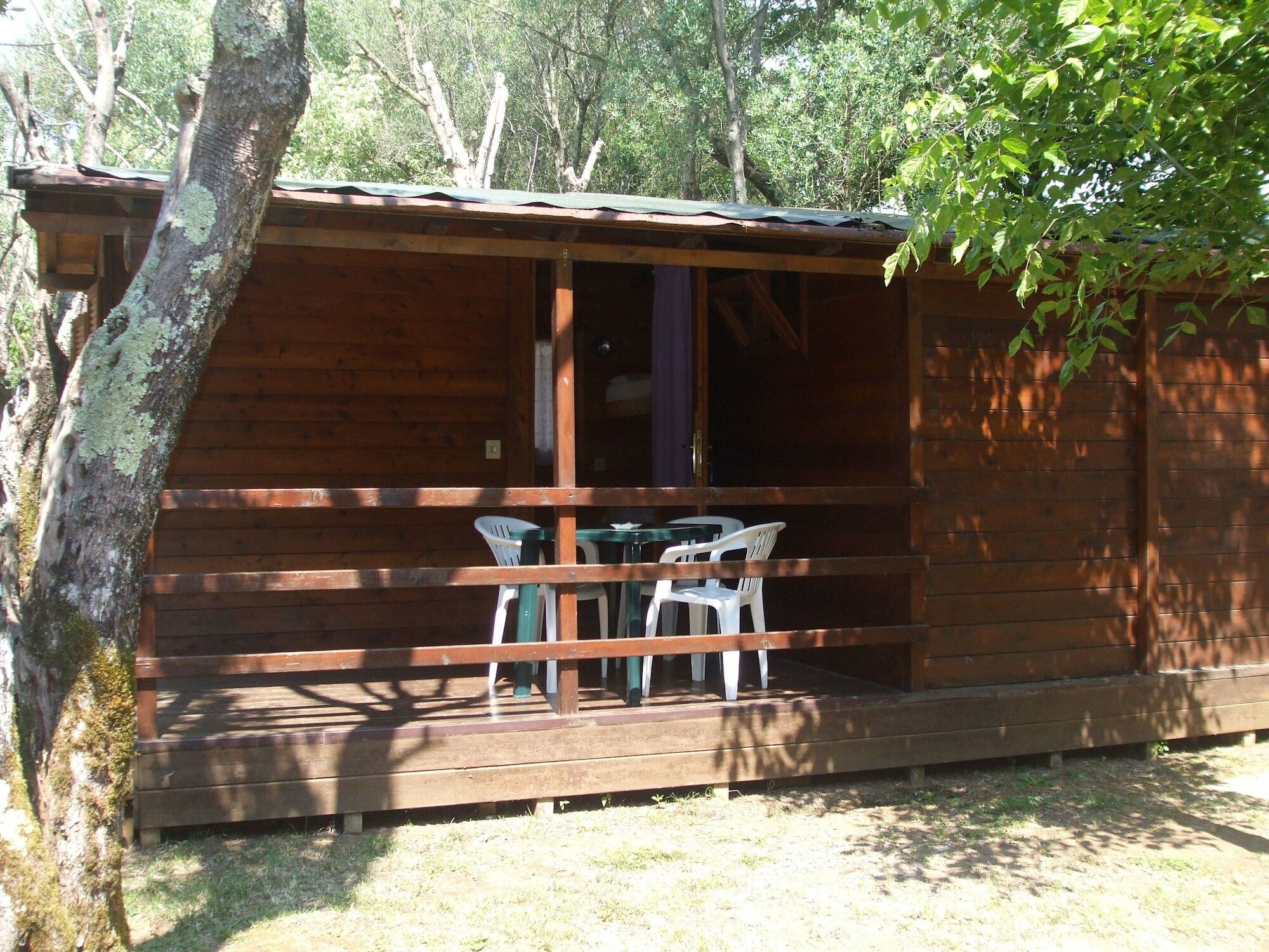 Camping Azzurro Bracciano Kültér fotó